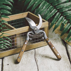 Traditional Bypass Pruning Shears-Branch, Hedge, Shrub, Flower Clipper and Trimmer for Garden-Razor Sharp Stainless Steel Blade-Natural Wood Handles