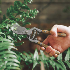 Traditional Bypass Pruning Shears-Branch, Hedge, Shrub, Flower Clipper and Trimmer for Garden-Razor Sharp Stainless Steel Blade-Natural Wood Handles