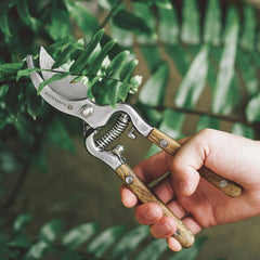 Traditional Bypass Pruning Shears-Branch, Hedge, Shrub, Flower Clipper and Trimmer for Garden-Razor Sharp Stainless Steel Blade-Natural Wood Handles
